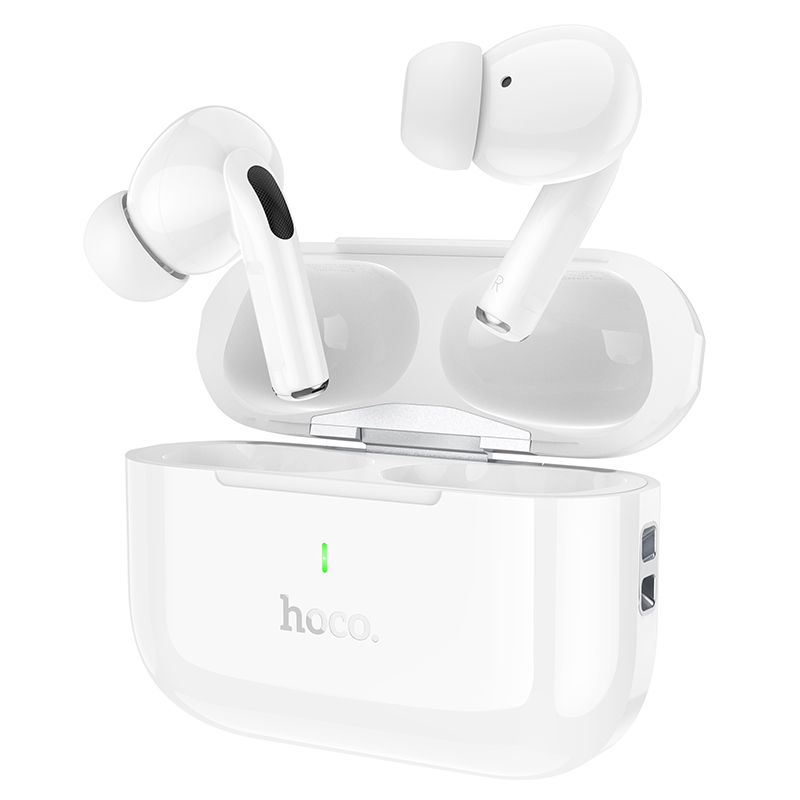 Hoco EW59 True Wireless Stereo Earbuds